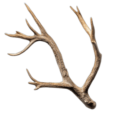 Antlers