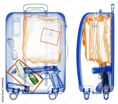 Contraband (intoxicants and illegal items of any nature)