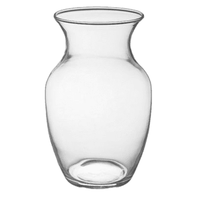 Glass Vase (empty)