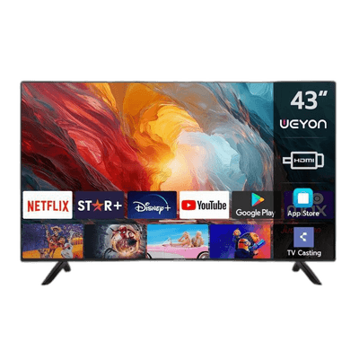 Television