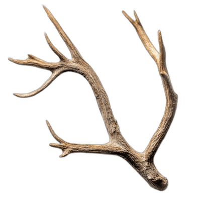 Antlers