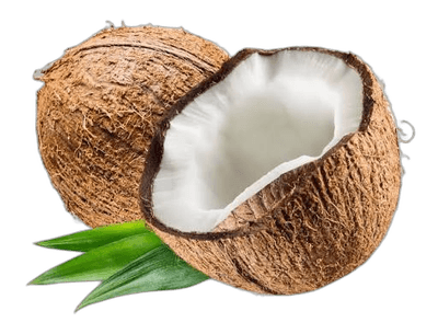Coconut