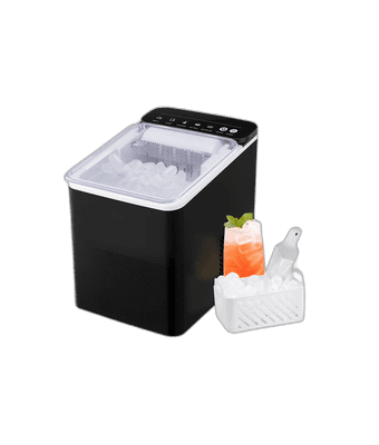 Ice maker